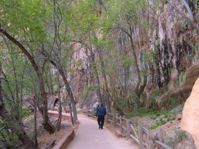 zion_np0014.jpg